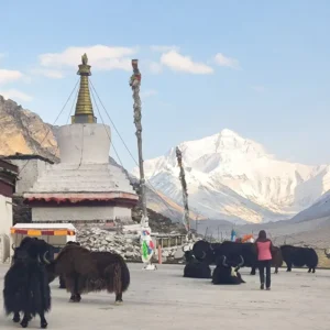 Rongbuk Monastery, the highest monastery in the world