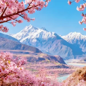 Chengdu Nyingchi Peach Blossom EBC Xining Train Tour